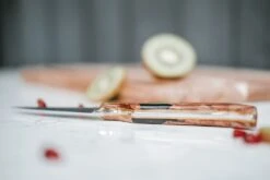 APOSL Paring Knife 9cm With A Hybrid Handle -SharpCraft Store aposl sheffiled kk 104 1694644774 26