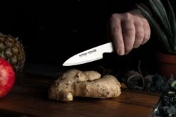 Global Ukon 9cm Paring Knife (GUF-30) -SharpCraft Store ukon lifestyle 11 guf 30